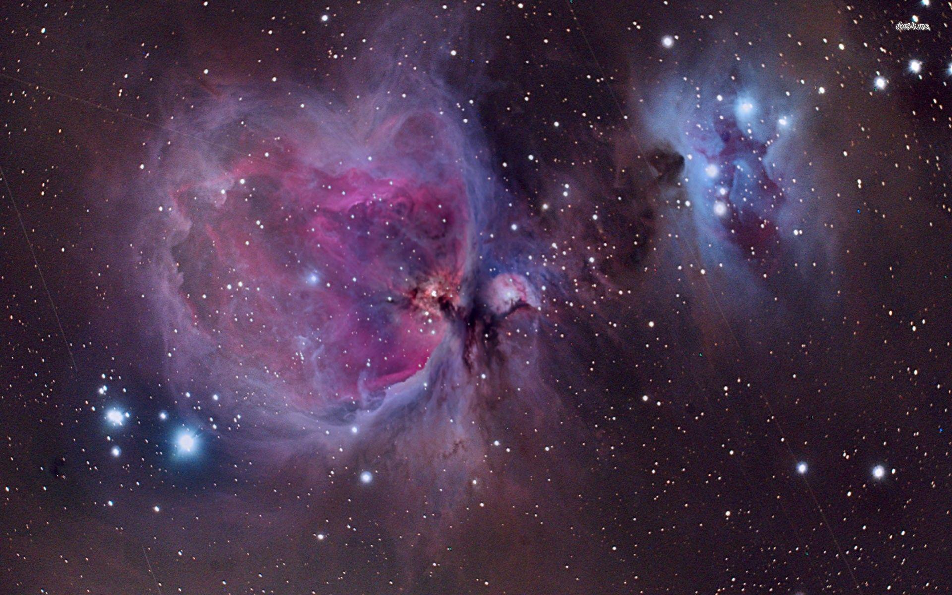 Orion Nebula wallpaper wallpaper - #
