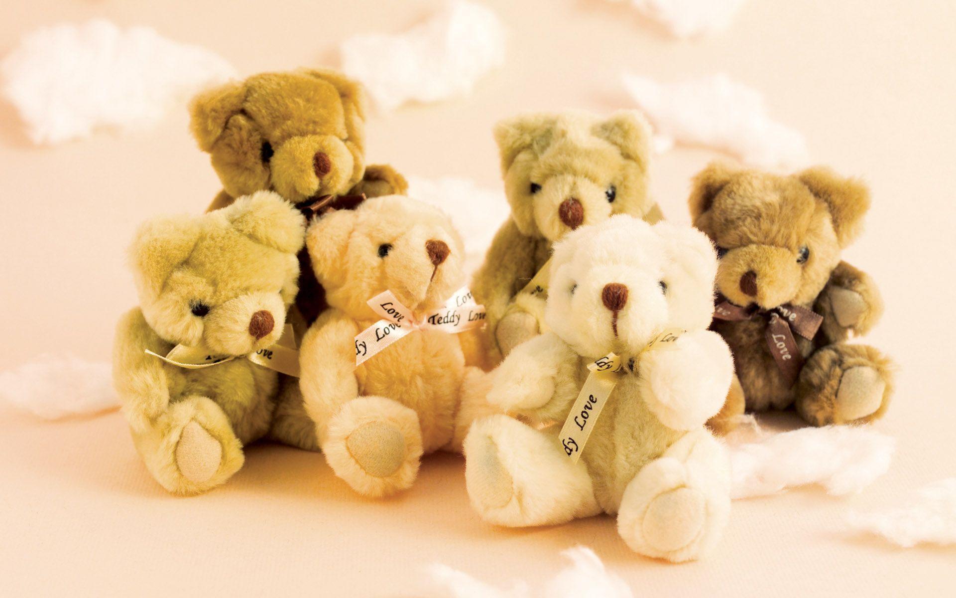 Teddy Wallpapers - Wallpaper Cave