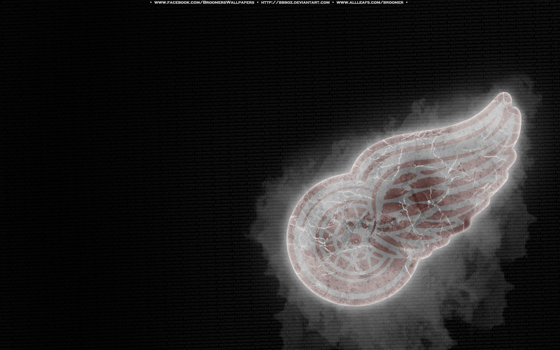 Detroit Red Wings Ice