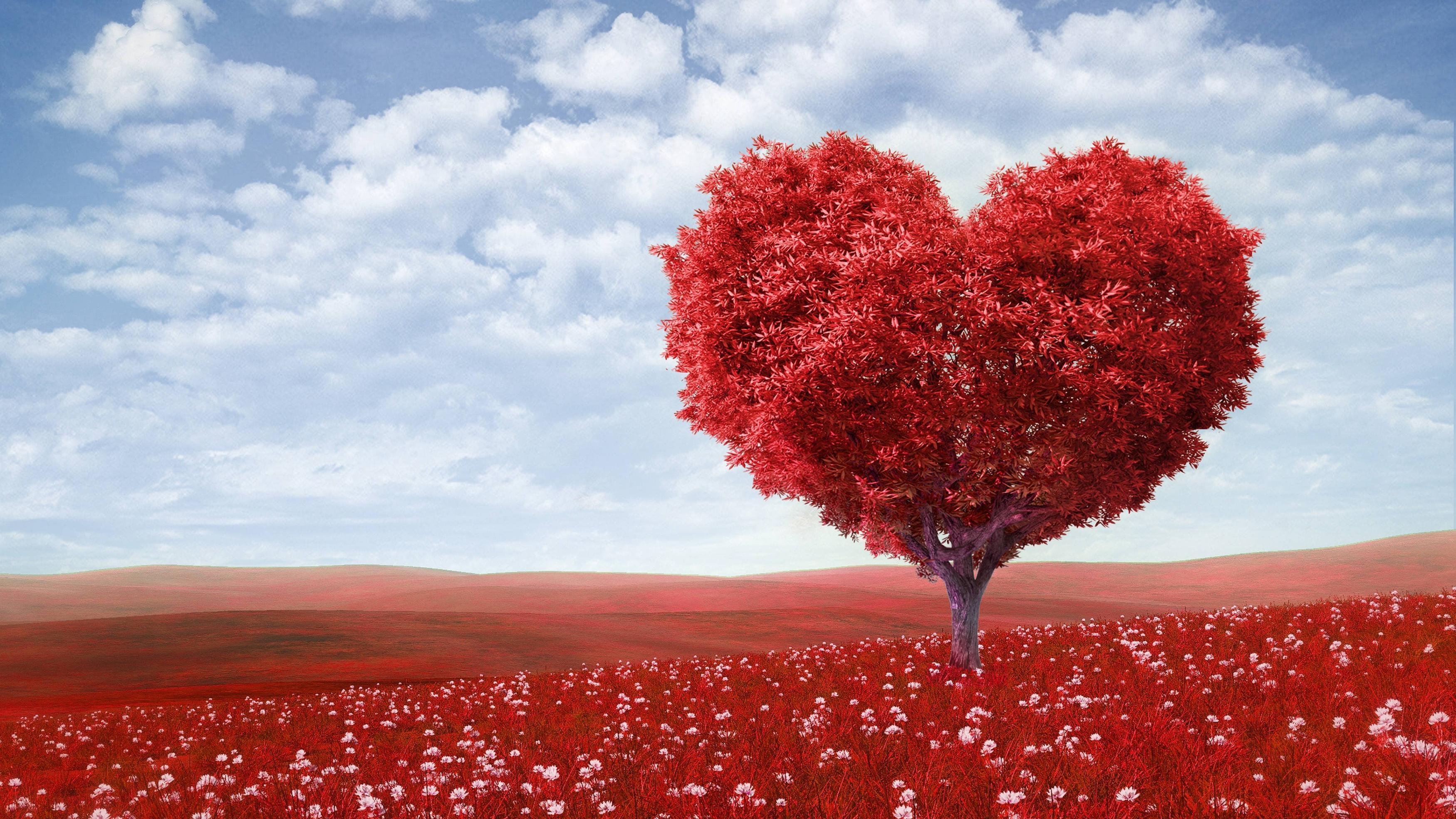 Download wallpaper valentine&;s day, love, romance, Heart free
