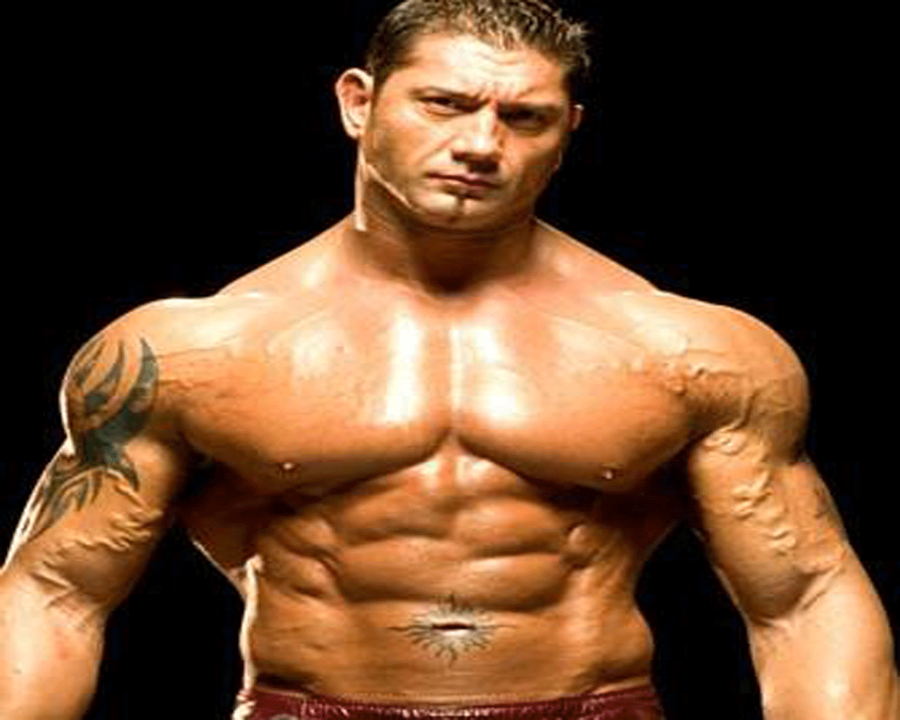 WWE Batista World Champion. WWE WALLPAPER FREE DOWNLOAD