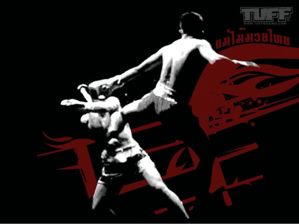 Pix For > Muay Thai Kick Wallpaper