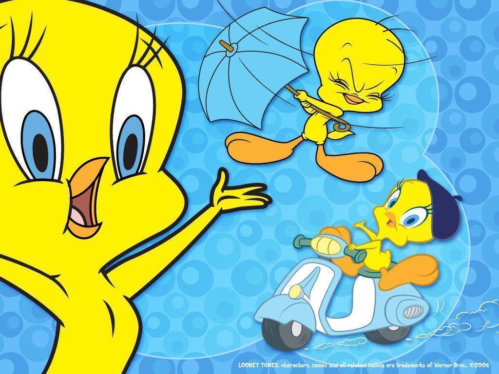 Tweety Bird Wallpaper Bird Wallpaper