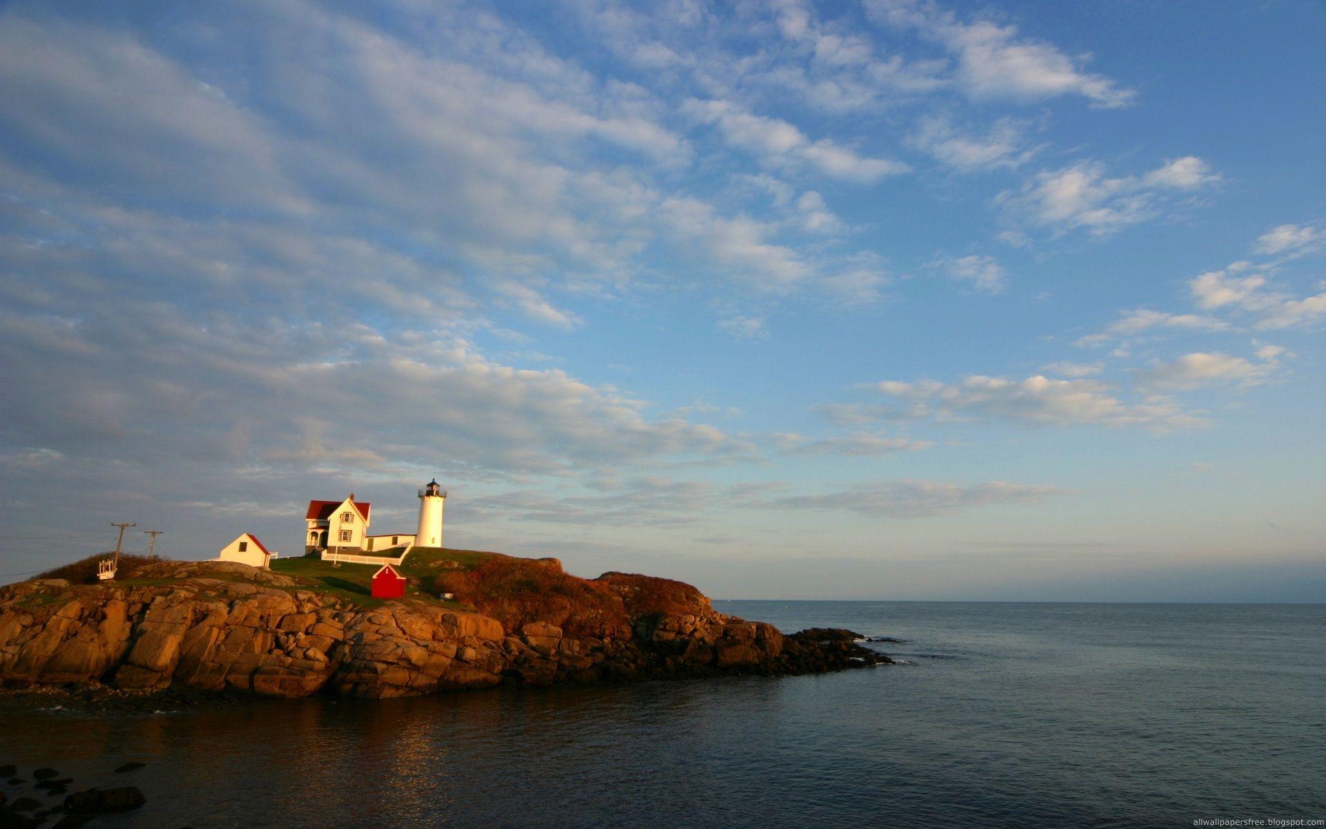 Horse wallpaper 15346