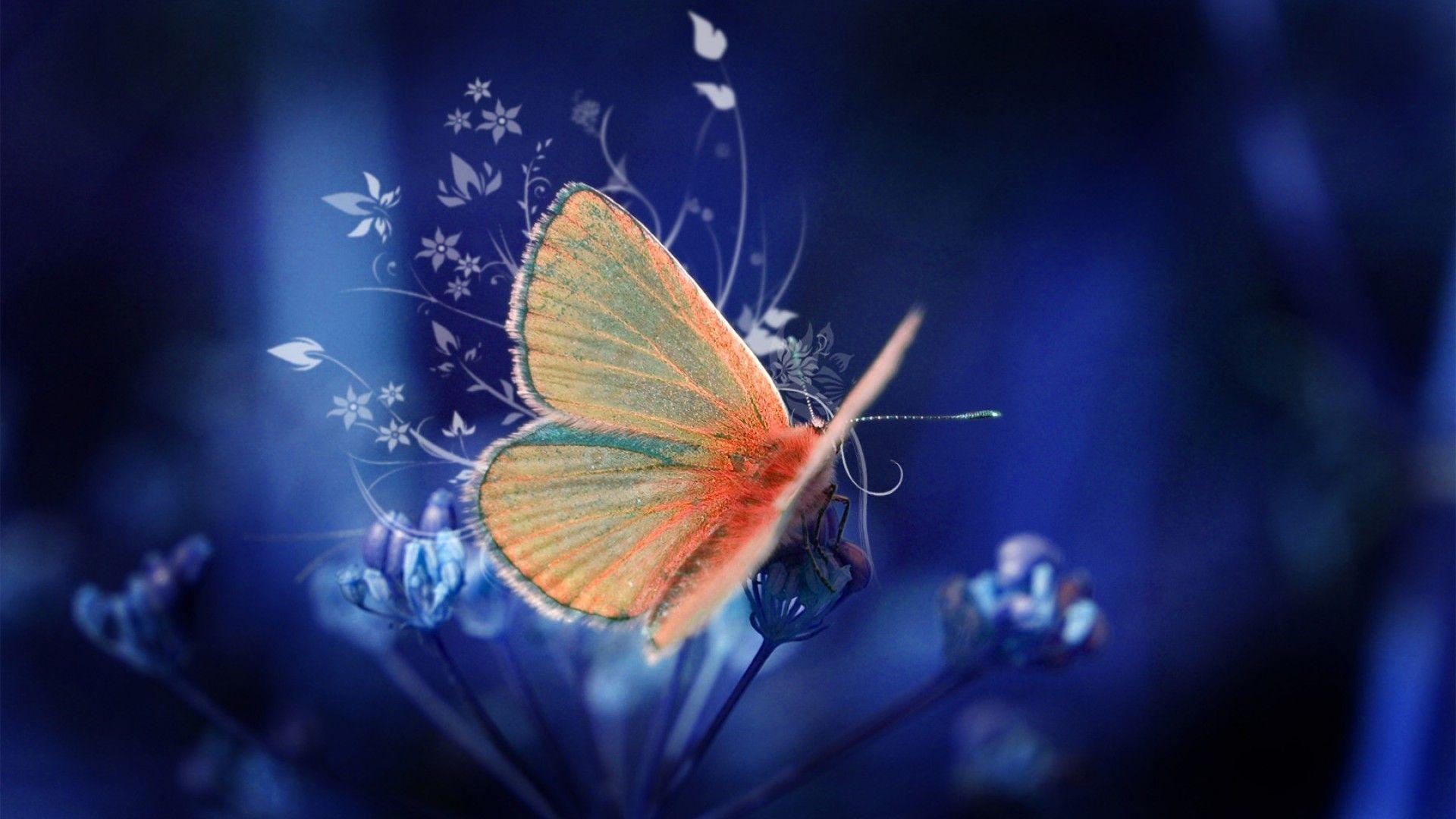 Free Yellow Butterfly In Blue Background Desktop Wallpaper. HD
