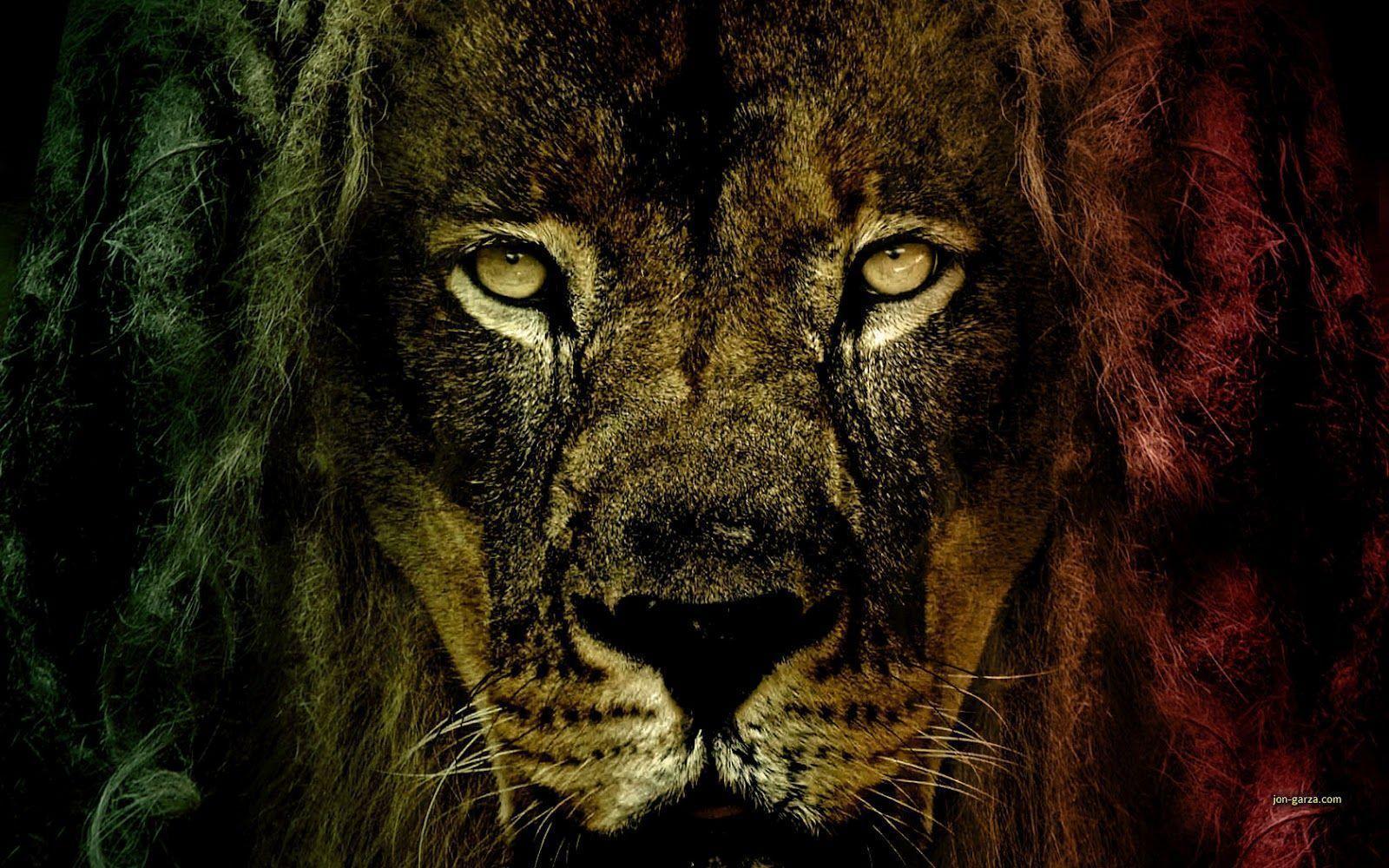 Rasta Lion