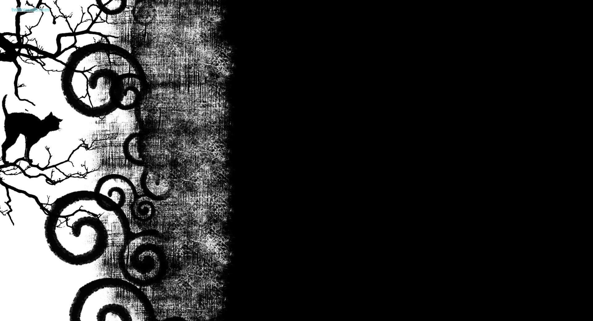 Cats Twitter Background