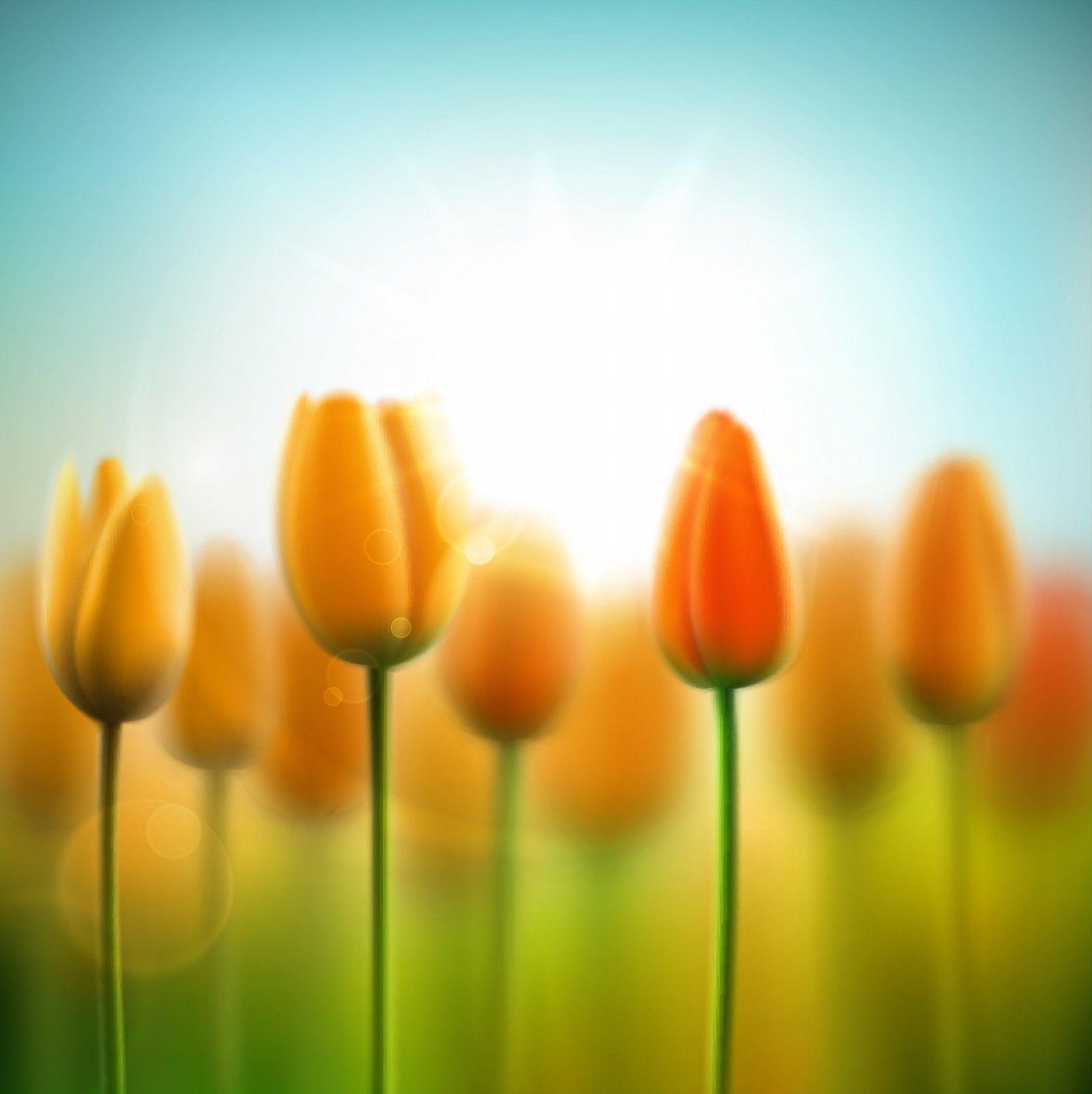 Hello Spring! Bright Flowers in Abstract Background • Elsoar