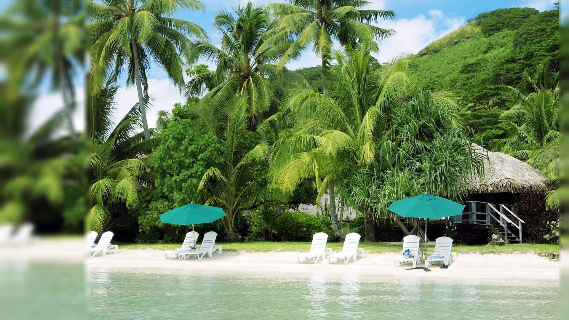 Summer Wallpaper HD 1920x1080 Wallpaper. lookwallpaper