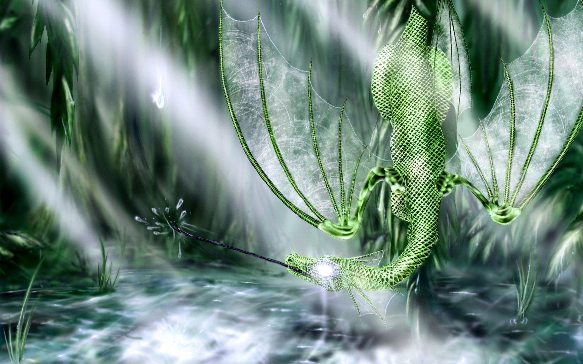 Fantasy dragons 3D fresh new HD wallpaper best quality HD