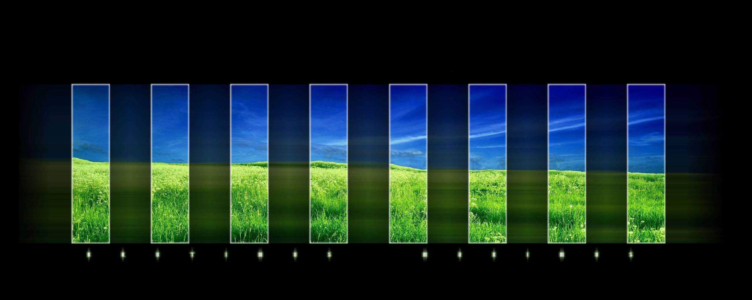 Funny Desktop Wallpaper Desktop Wallpaper