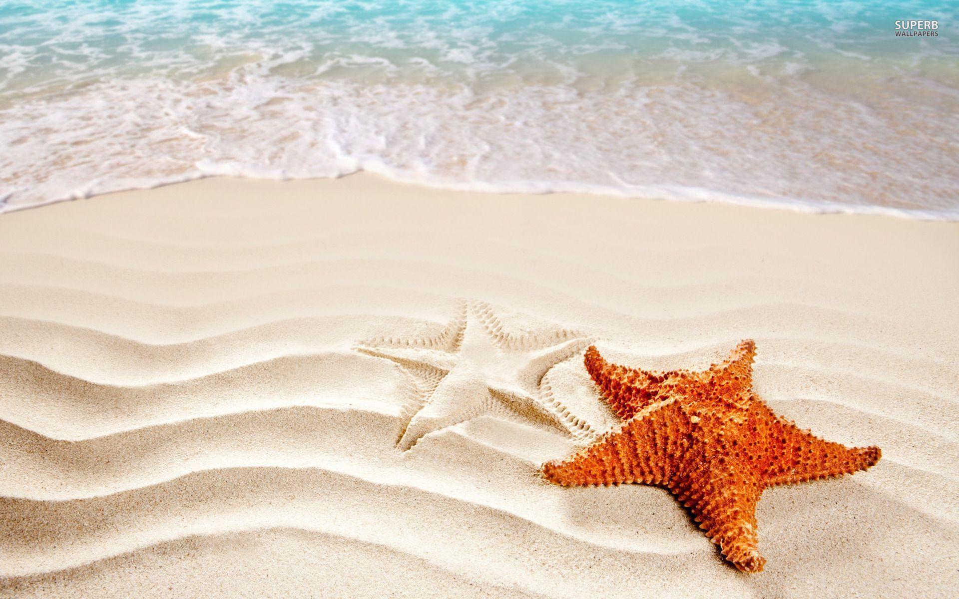Starfish Sand Holiday HD Wallpaper. Nine Wallpaper