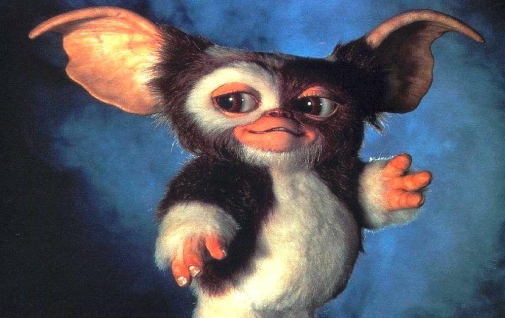Gallery For > Gizmo Gremlins Wallpaper