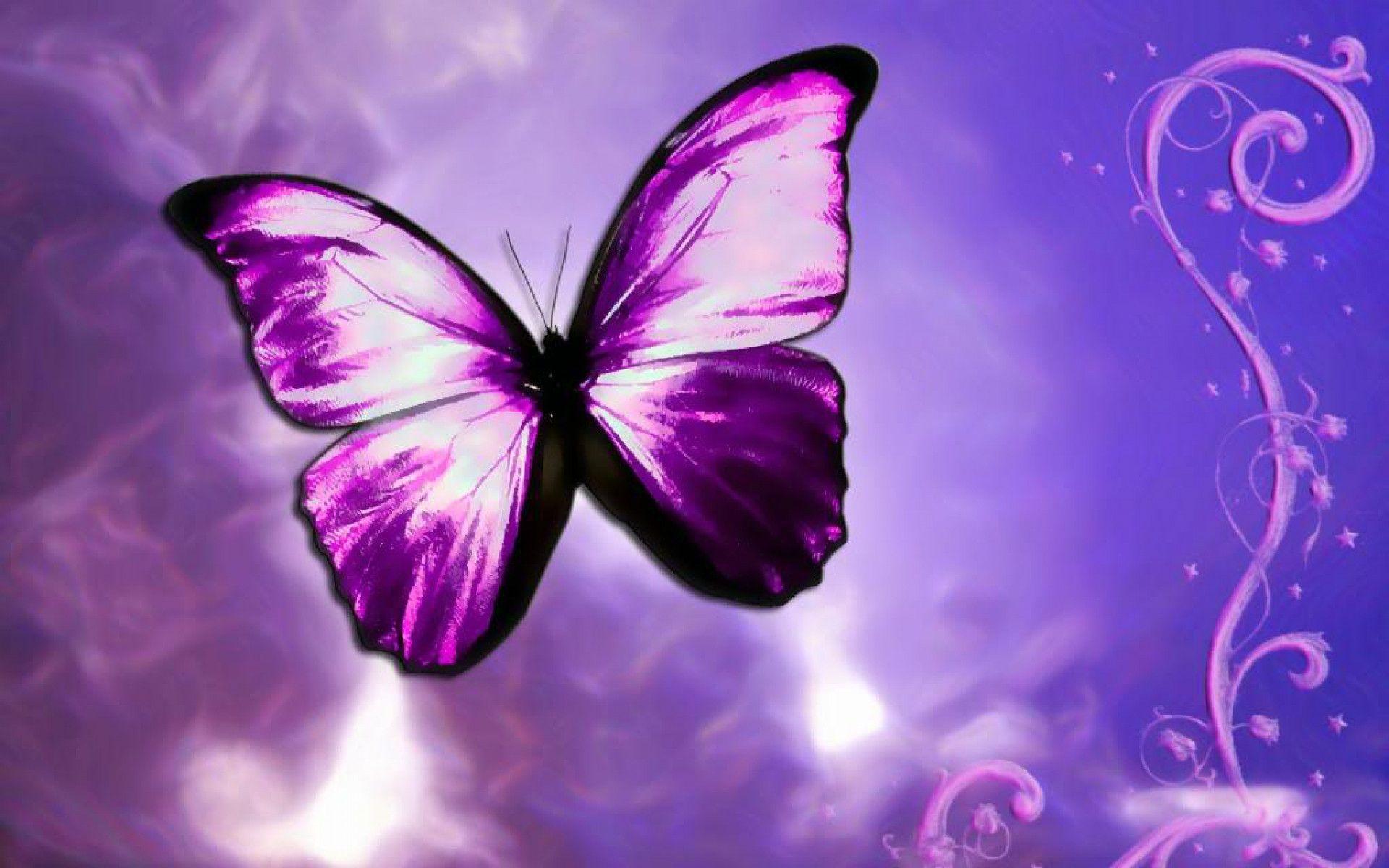 Butterfly HD Wallpaper: Purple Butterfly HD Wallpaper. .Ssofc