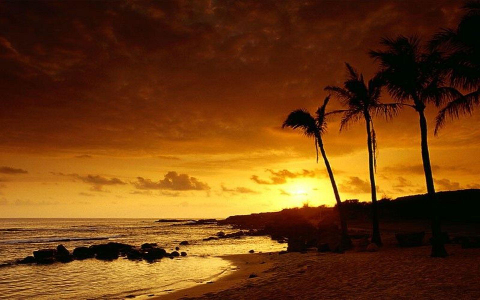Tropical Sunset Wallpaper Wallpaper Inn