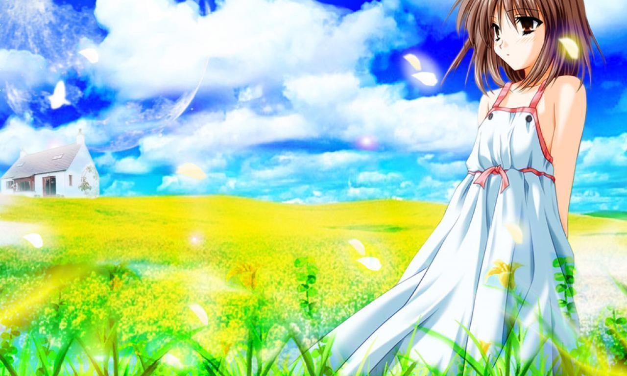 Summer Blue Sky Field Sunshine Anime HD wallpaper #
