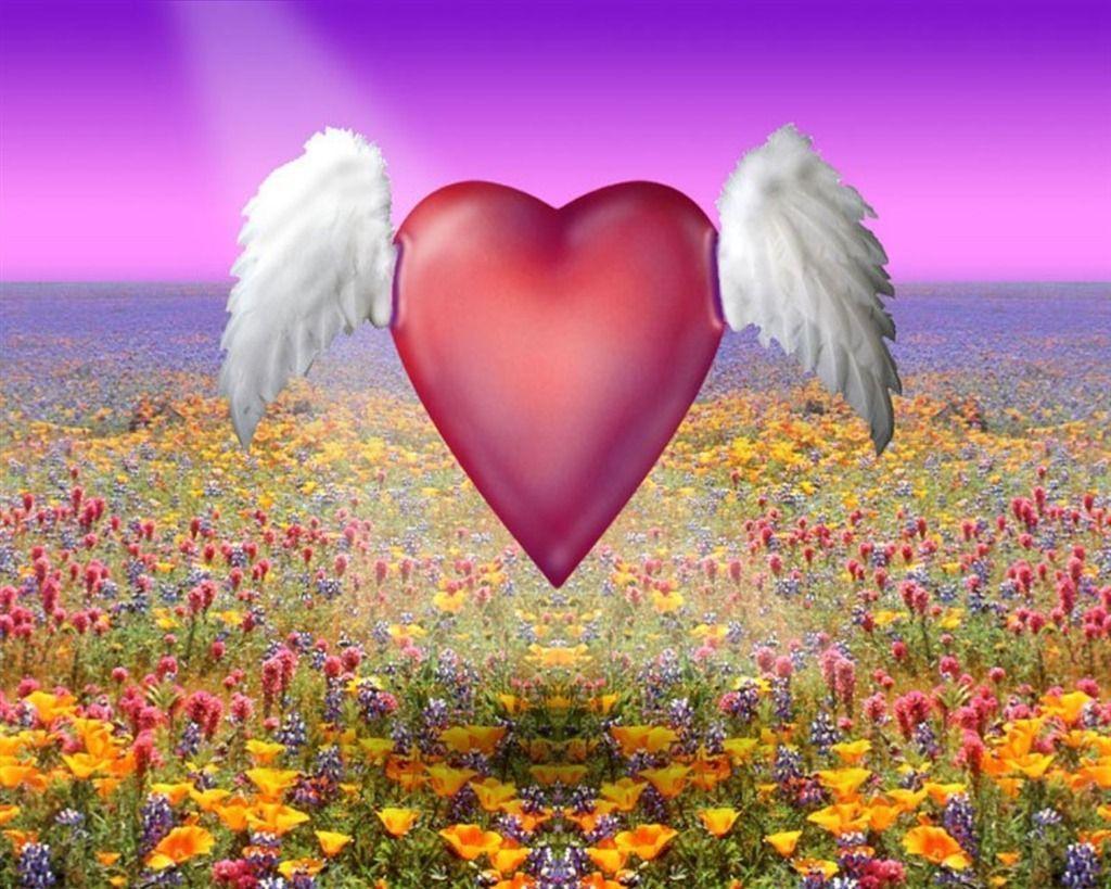 image Of Beautiful Wallpaper 41819 HD Wallpaper. fullhdwalls