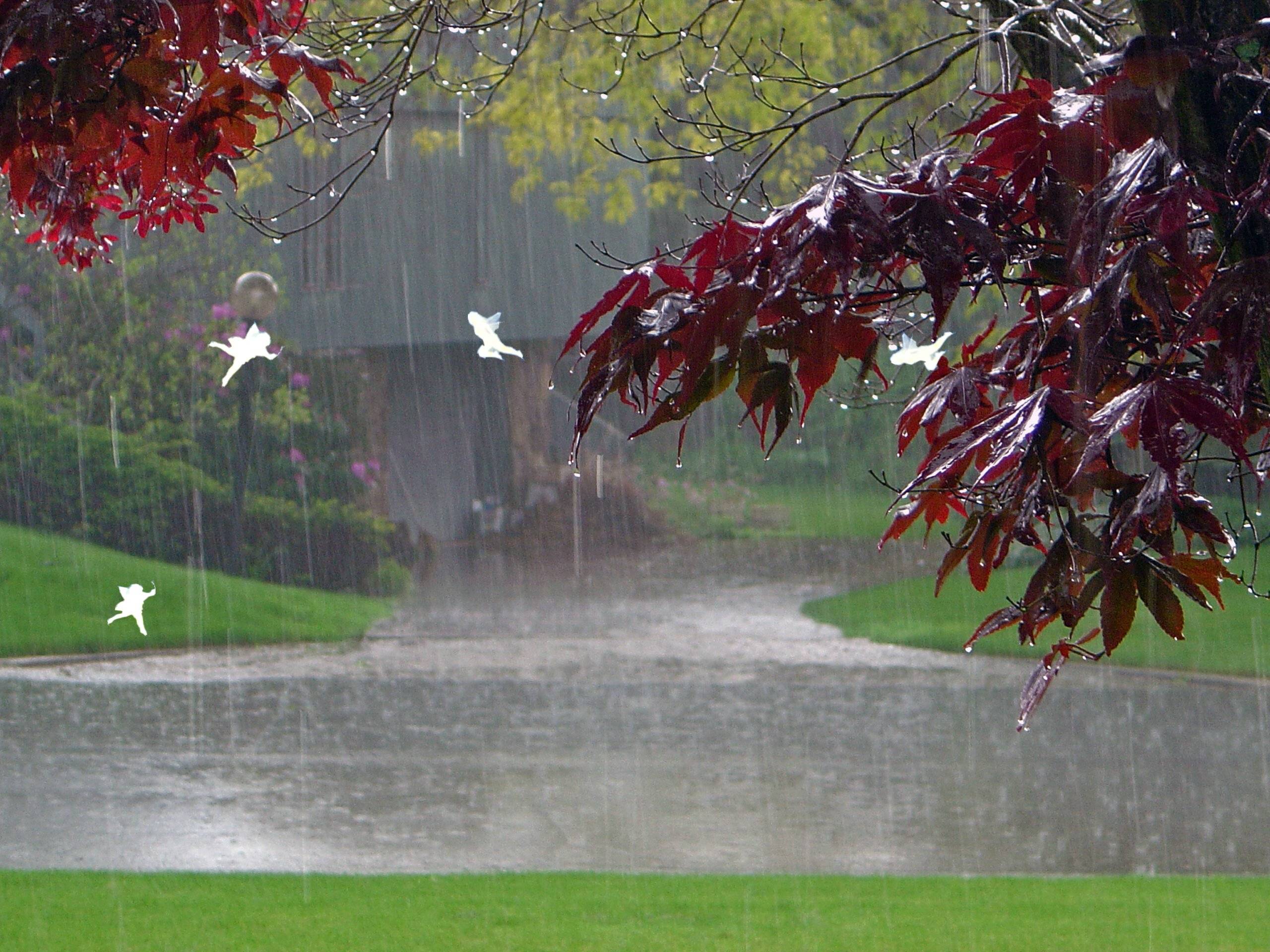 happy raining wallpaper