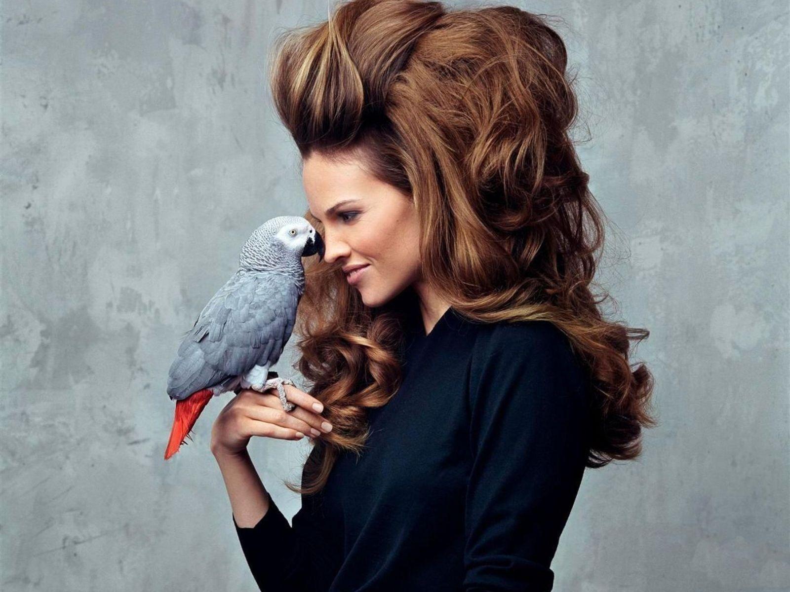 Hilary Swank Wallpaper. Daily inspiration art photo, picture