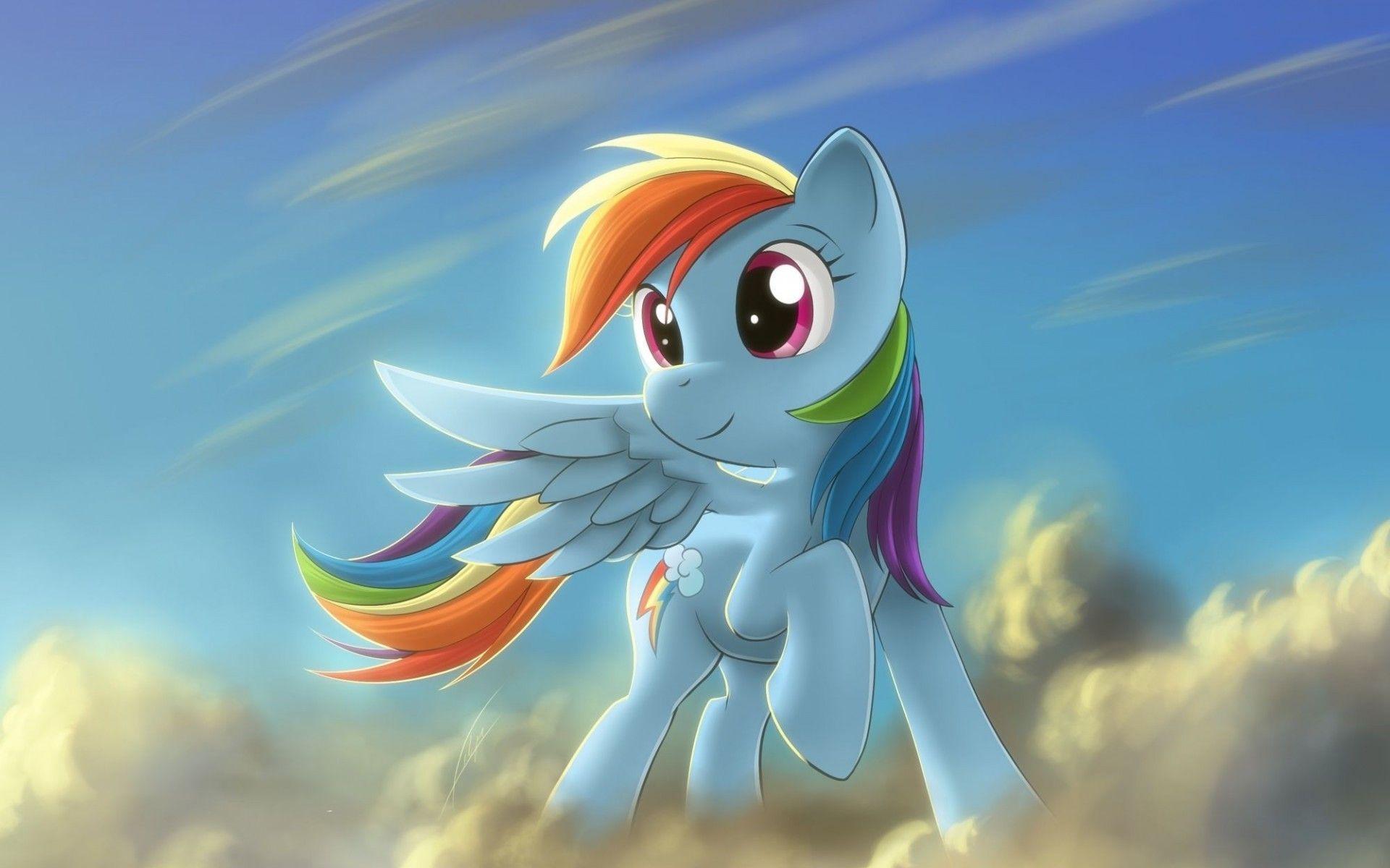 My Little Pony Rainbow Dash Wallpaper HD wallpaper search
