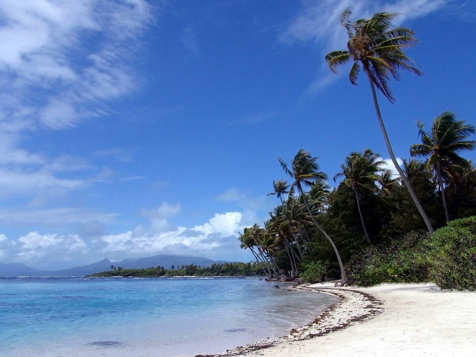 Free Desktop Background Tropical Island