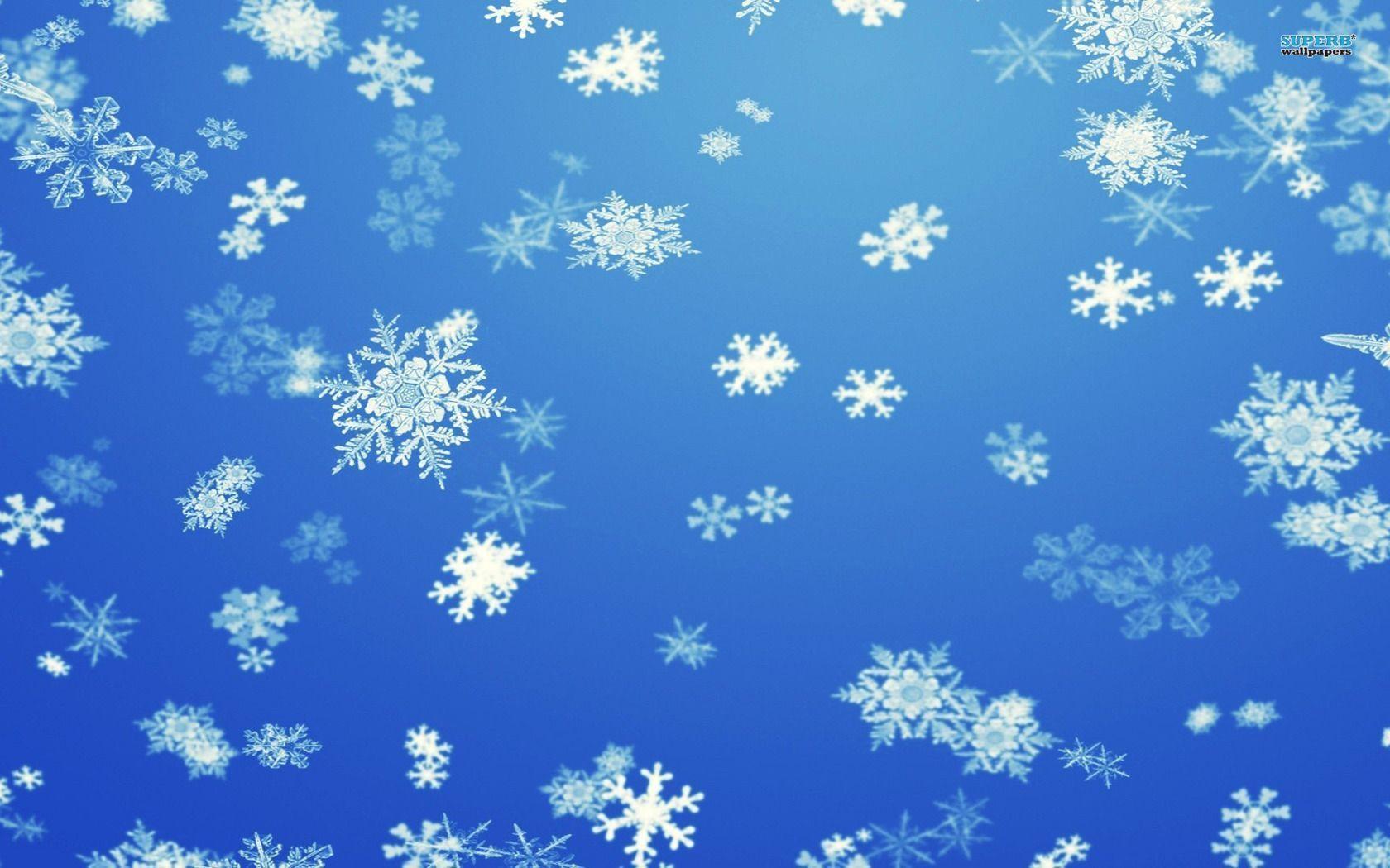 Snowflakes wallpaper wallpaper - #