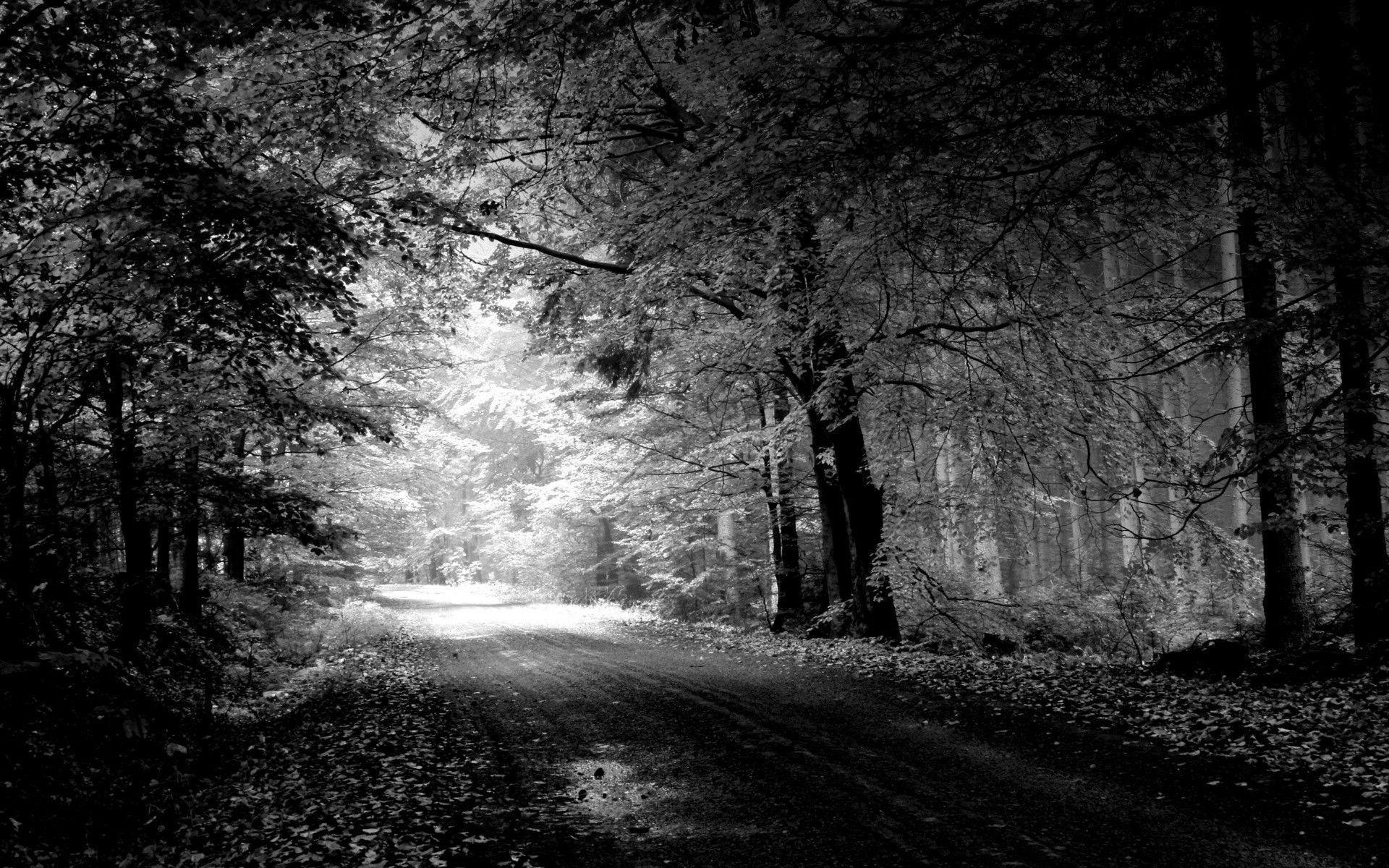 Road Nature Black And White HD Wallpapers For Your PC Desktop