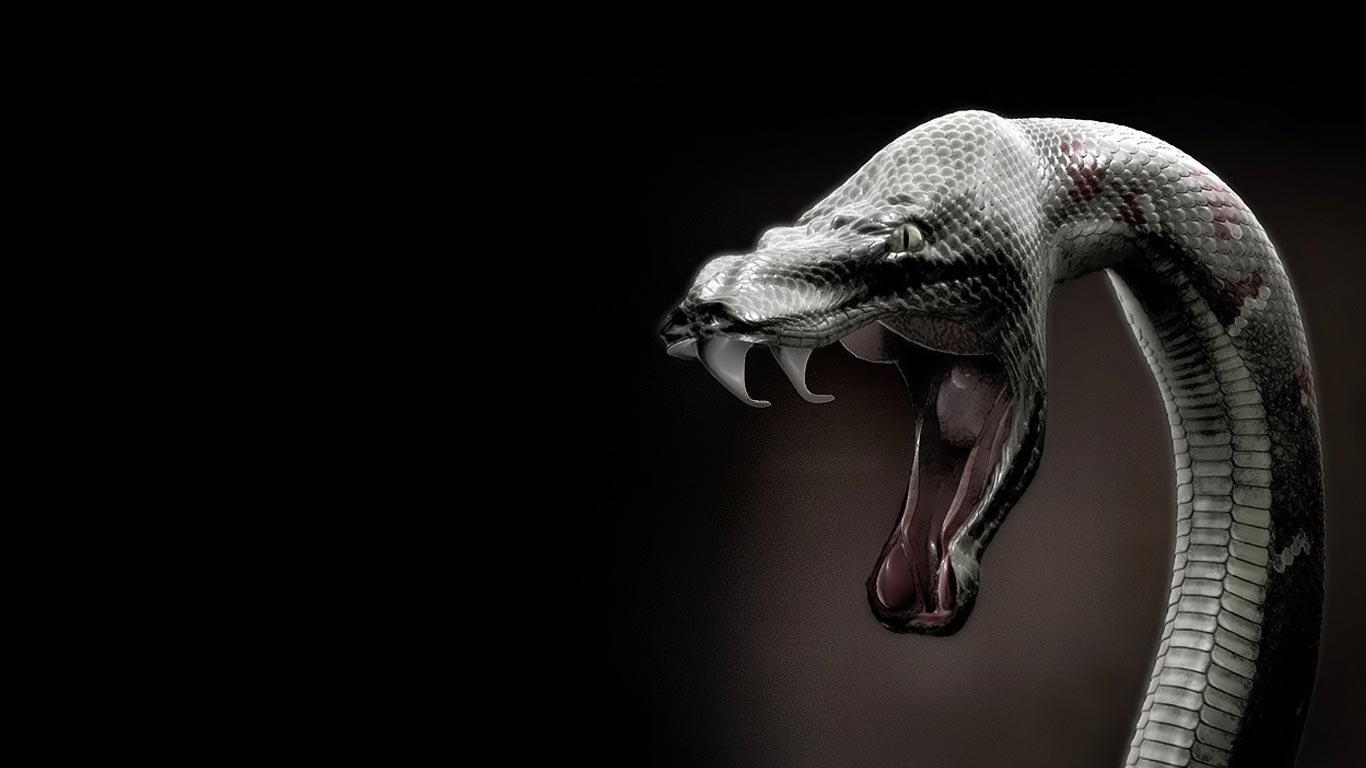 Desktop Wallpaper · Gallery · HD Notebook · Lightning shot