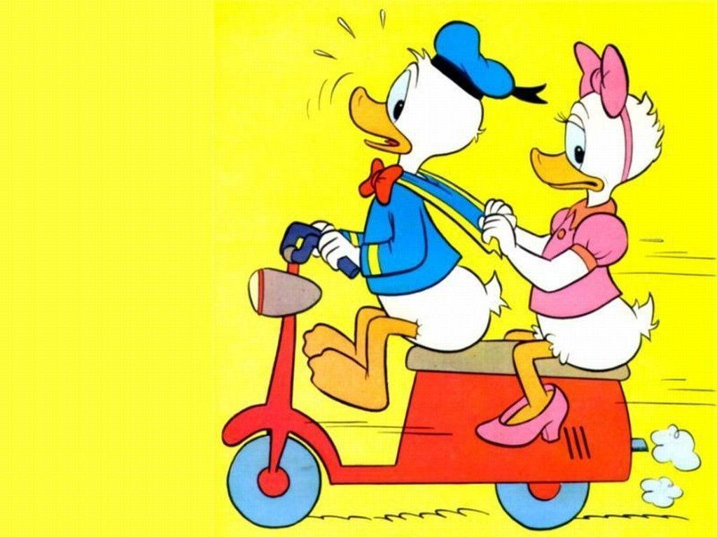 Donald Duck and Daisy Wallpaper Duck Wallpaper 6333858