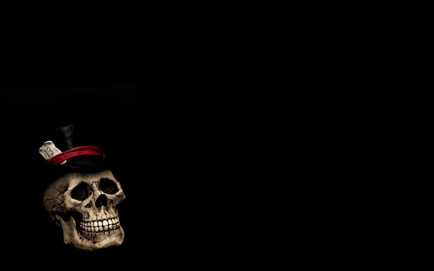 3D skull background