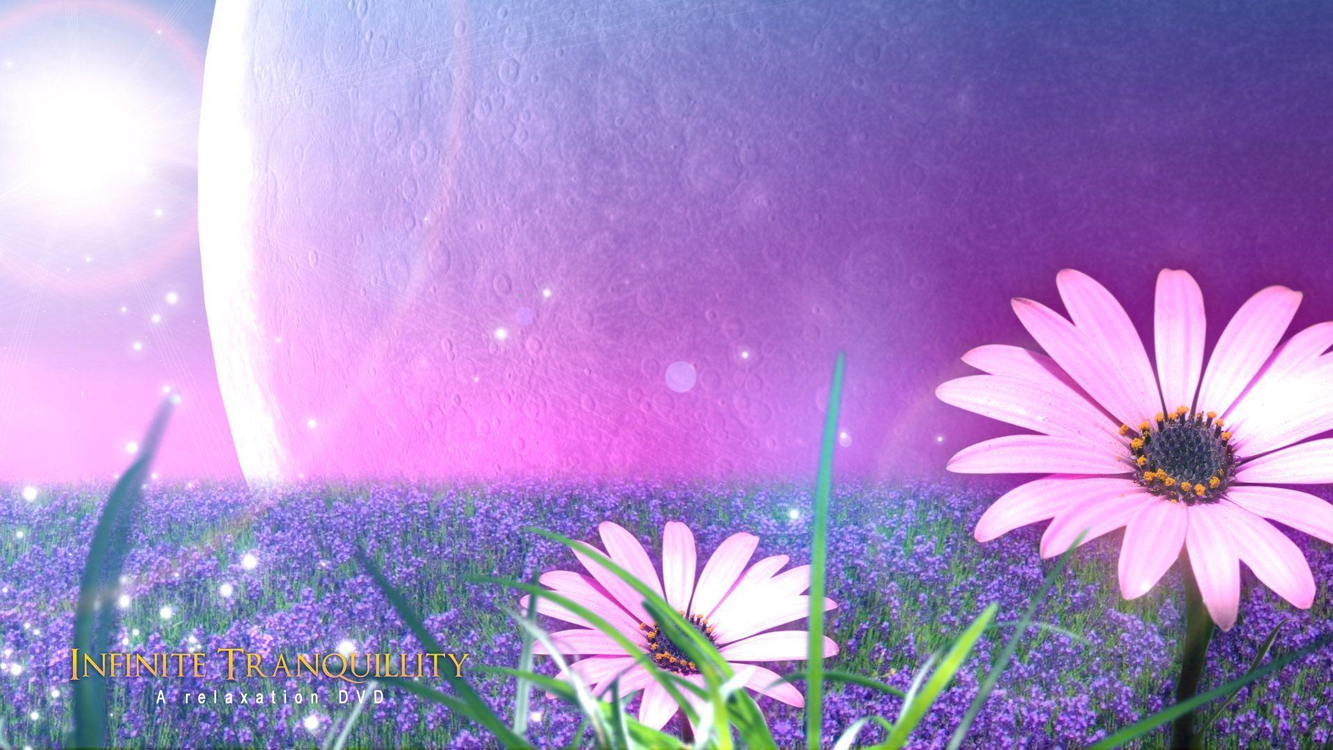 Blue Flower Widescreen HD wallpaper