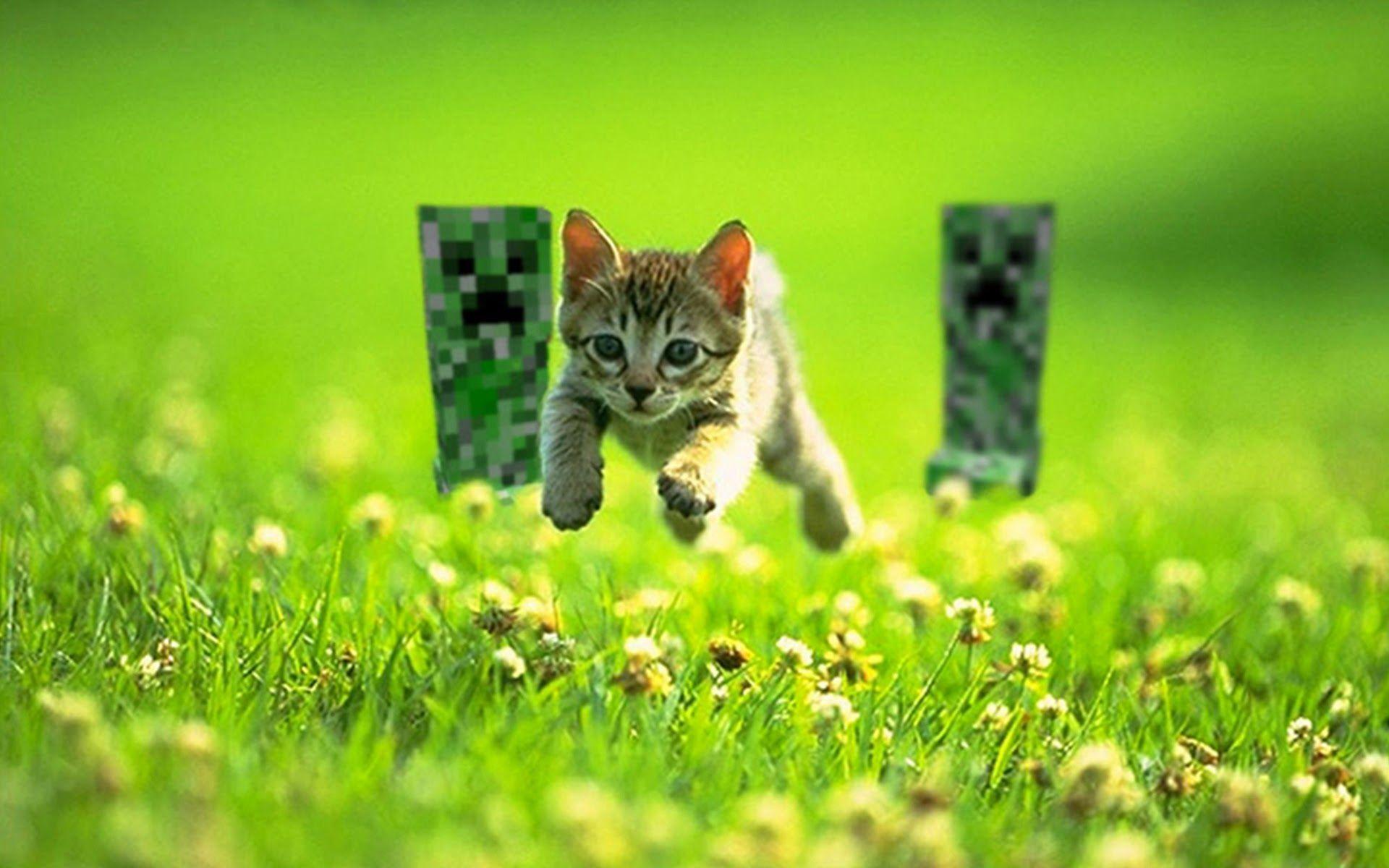 Minecraft game cat a128 HD Wallpaper