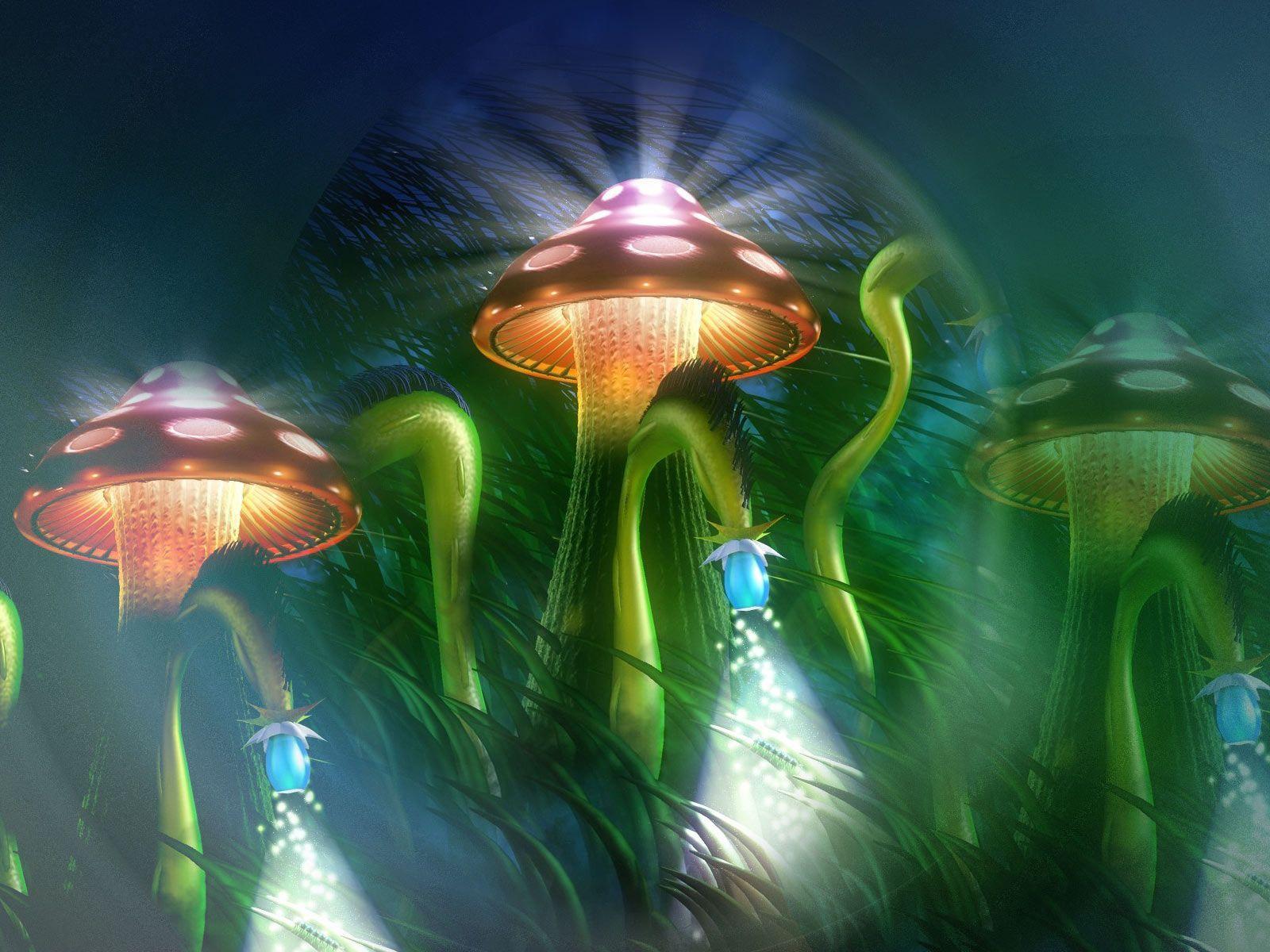 Wallpapers For > Shroom Trip Wallpapers