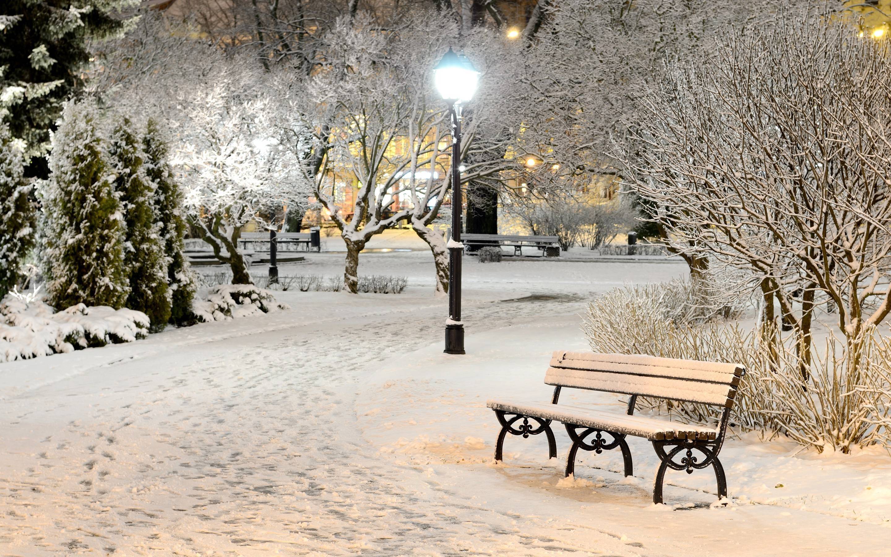 Snowy Park Night Wallpaper Wide or HD