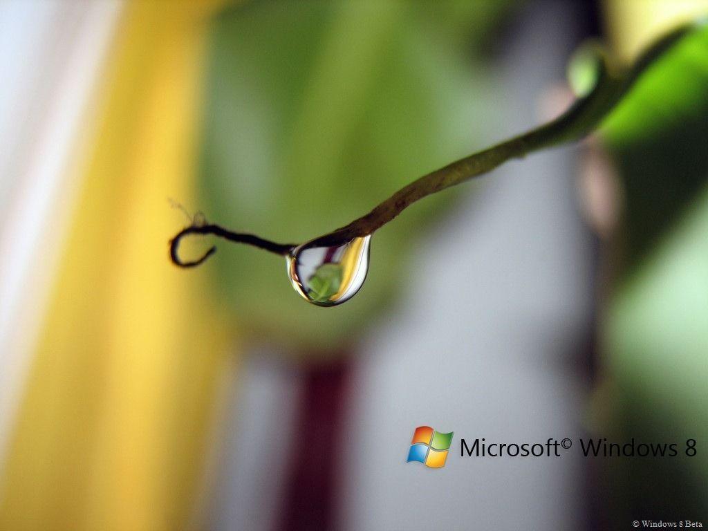 50 Most Beautiful Windows 8 Wallpapers