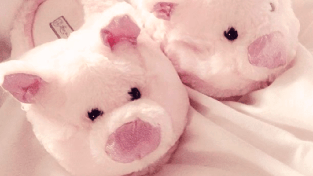 Wallpaper piggy slippers