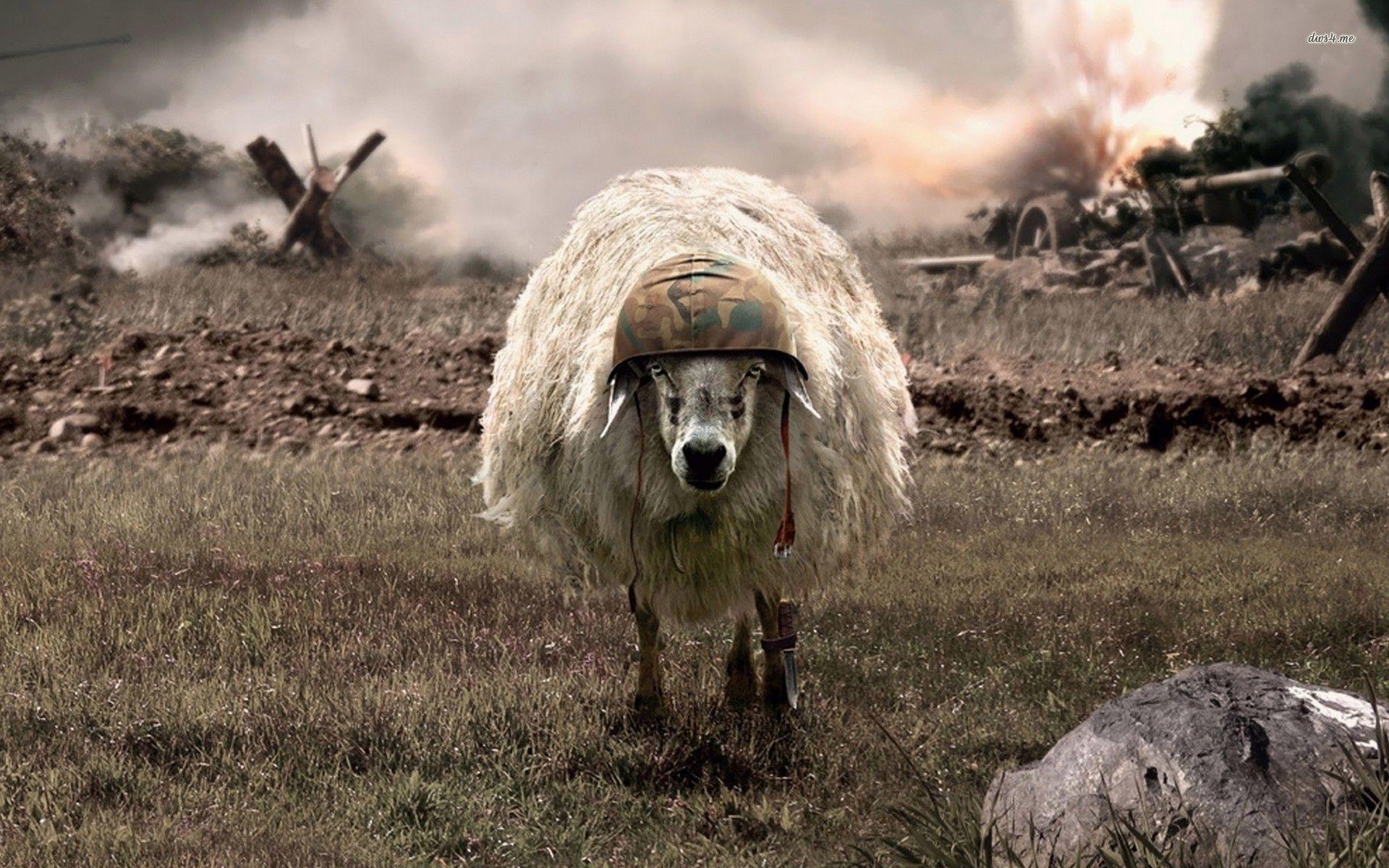 Soldier sheep wallpaper Art wallpaper - #