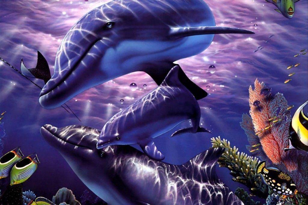 dolphin wallpaper 3D
