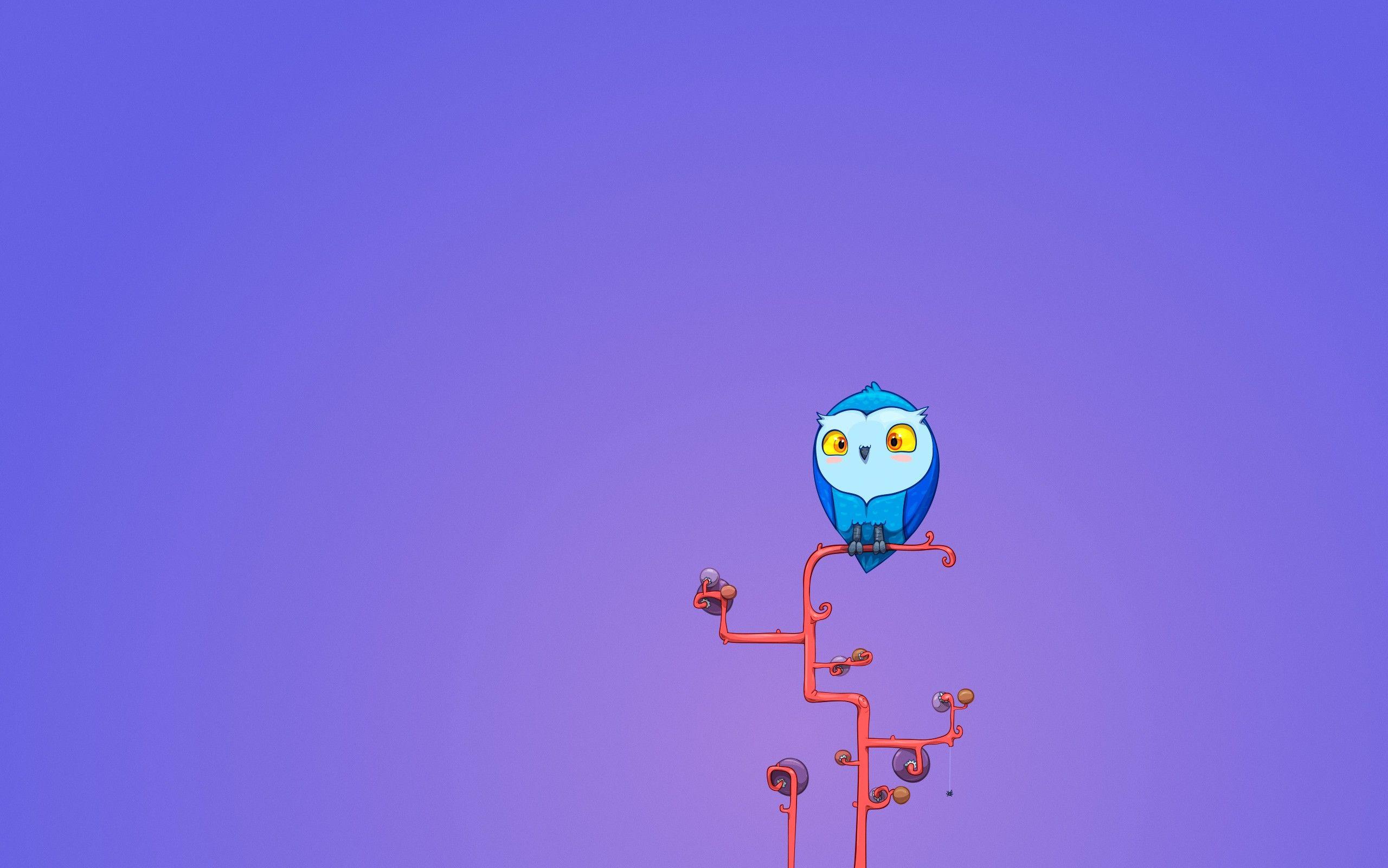 Free Colorful Owl Wallpaper, Free Colorful Owl HD Wallpaper