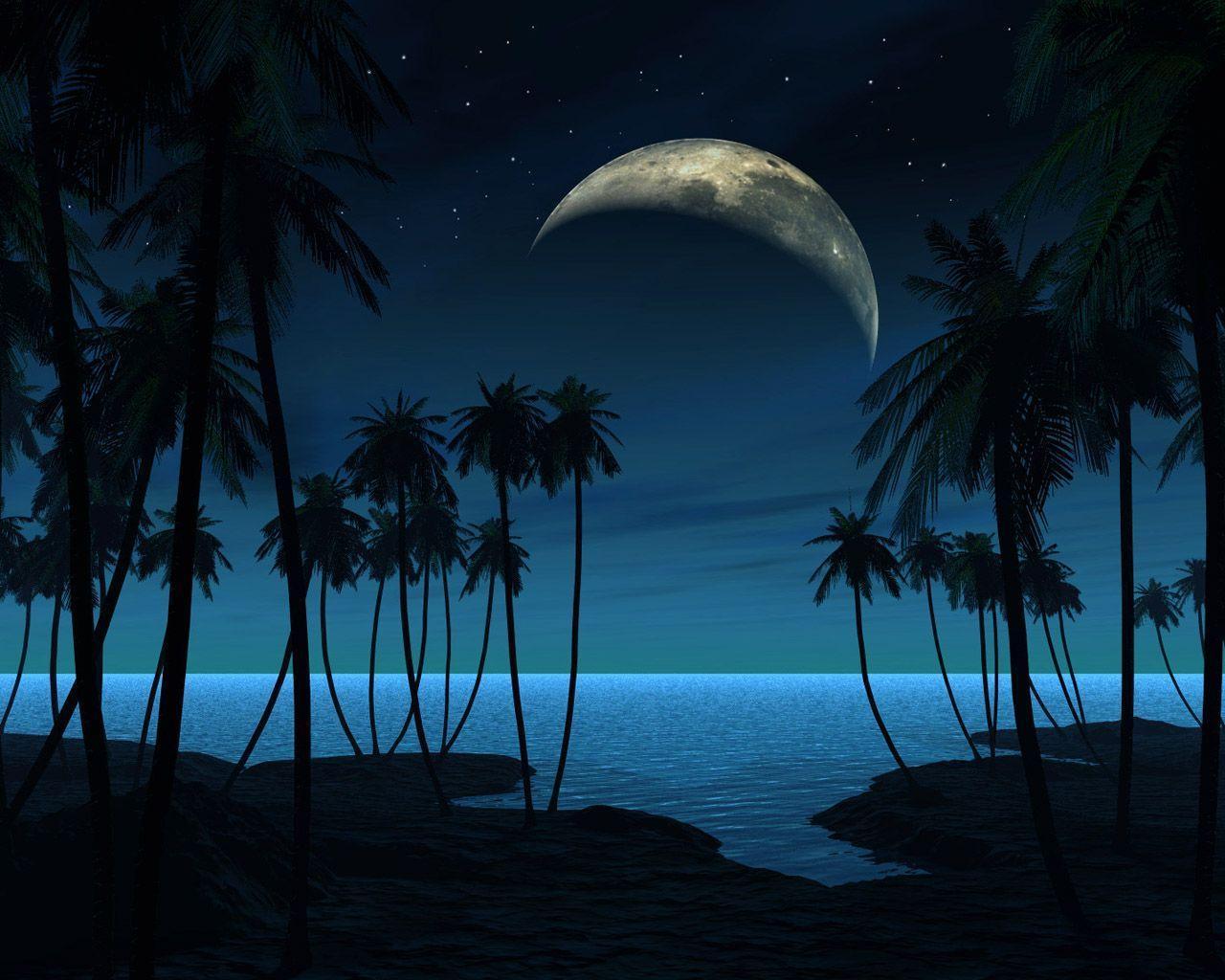Night Beach Background 11933 HD Wallpaper in Beach n Tropical