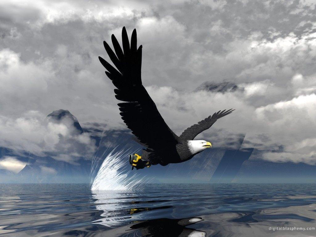 Eagle HD Wallpaper. Eagle New image and Picture