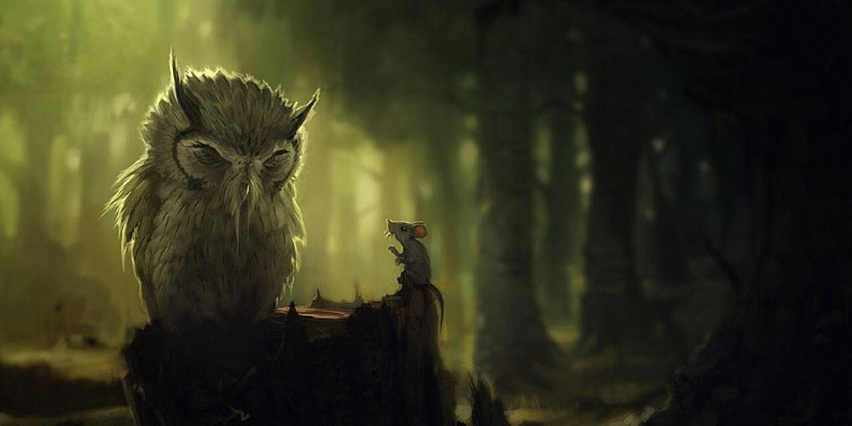 Owl  Wallpapers  For Computer Wallpaper  Cave