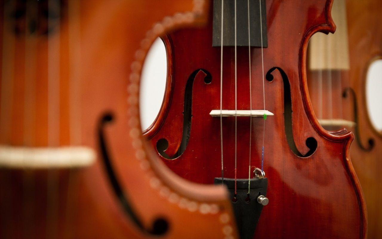 Music Instrument Close Up Violin HD Wallpaper