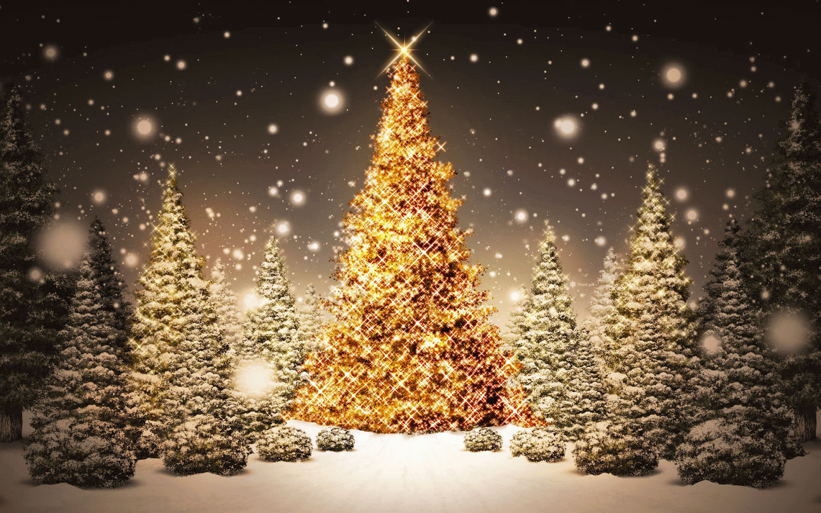 Beautiful Outdoor Christmas Lights Wallpaper photo of Christmas