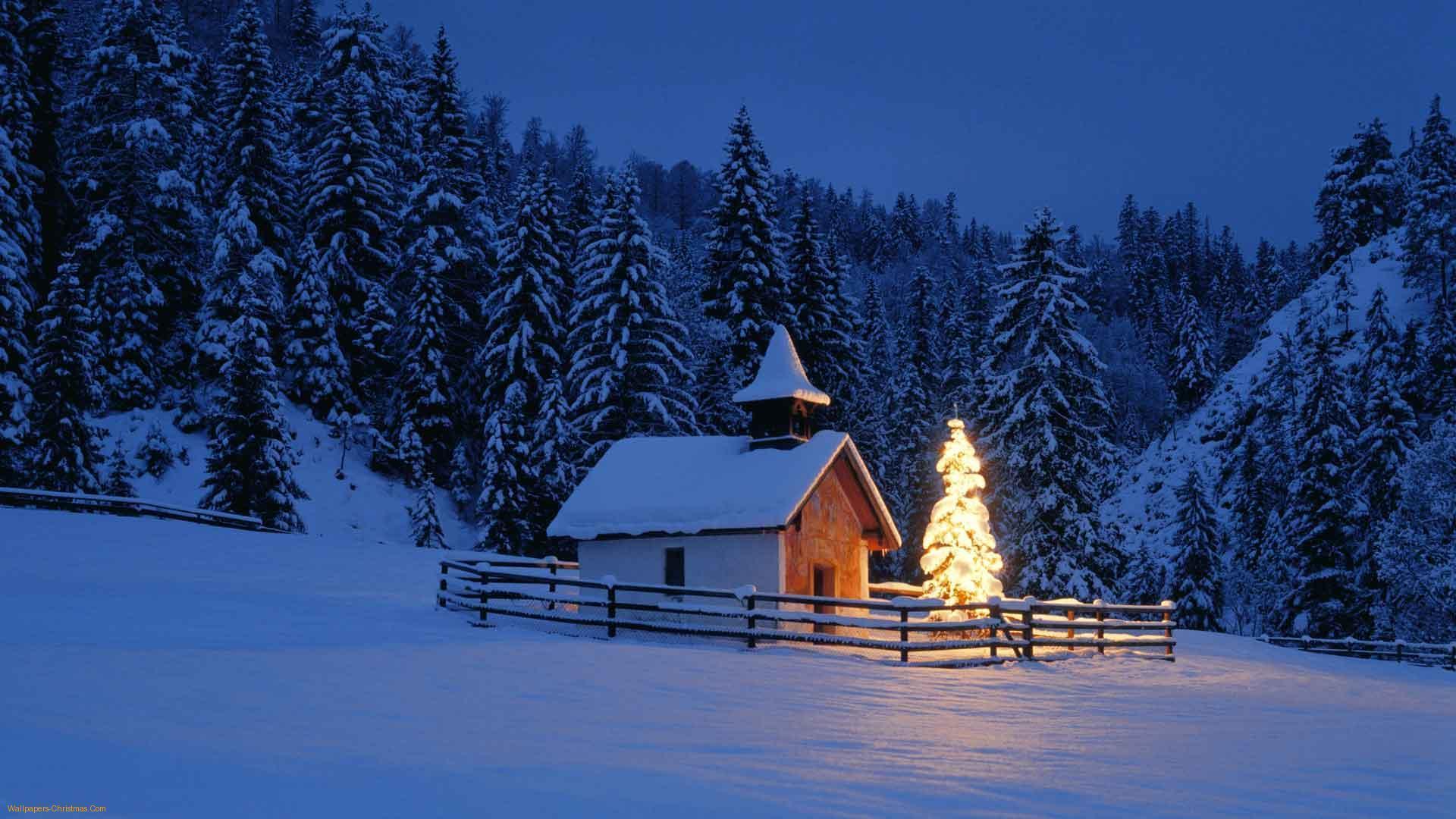 Wallpapers For > Christmas Tree Snow Wallpapers Hd