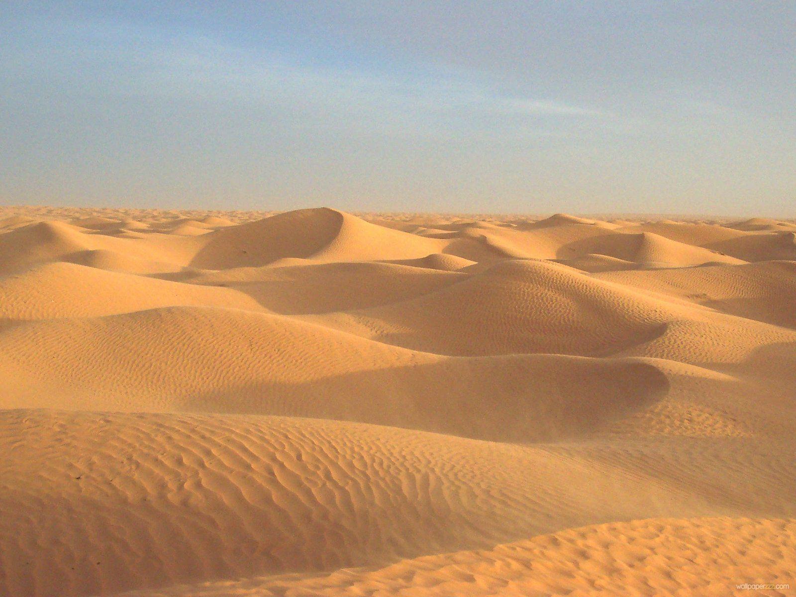 Dune Wallpaper 4K, Desert, 2021 Movies, IMAX poster