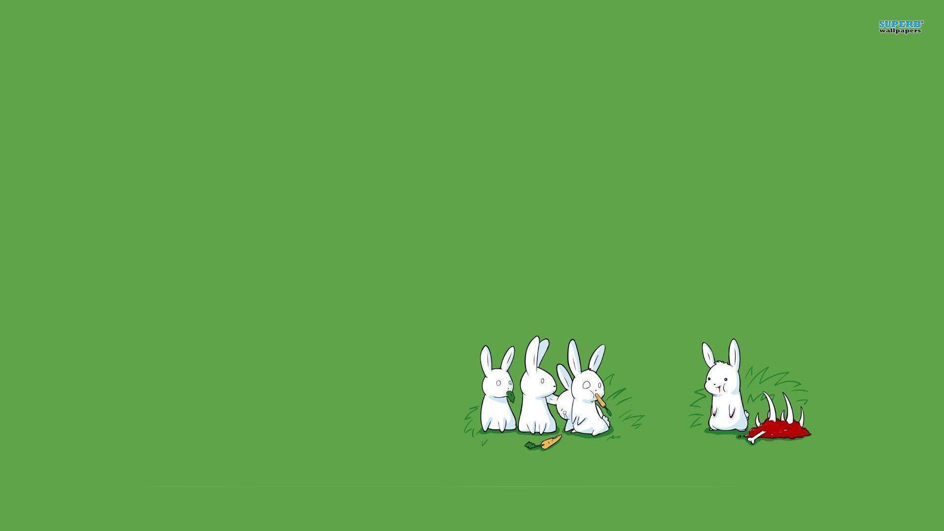 Rabbits wallpaper wallpaper - #