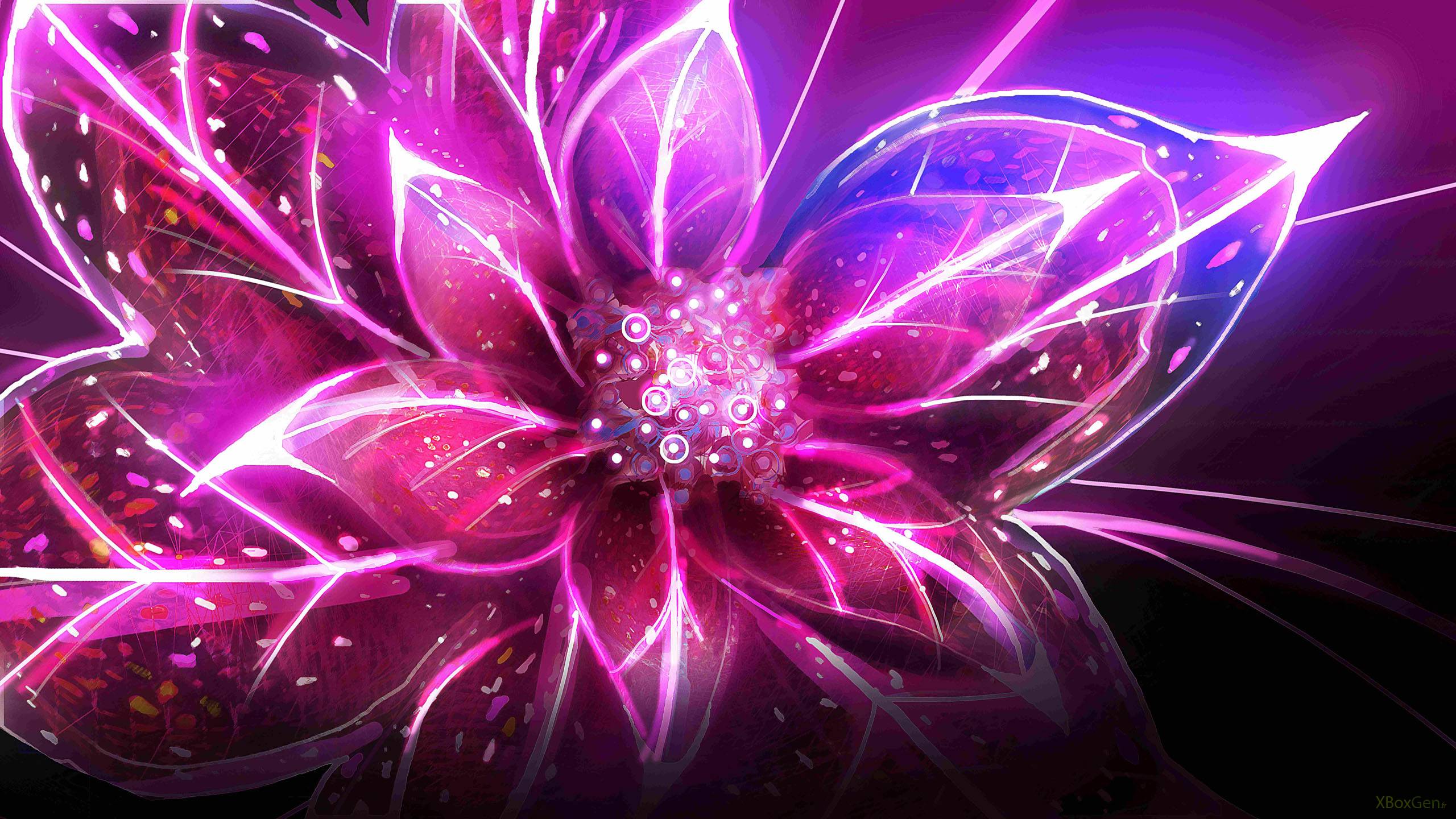 20+ Cool Flower Backgrounds | Wallpapers | Free Creatives