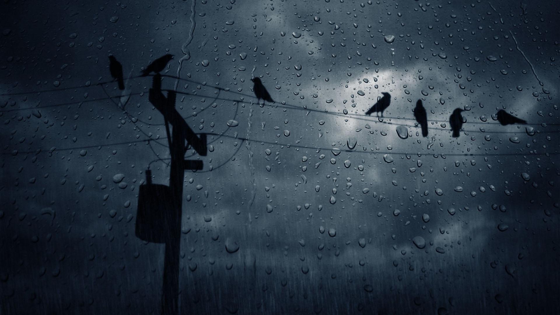 Rainy Wallpapers Wallpaper Cave