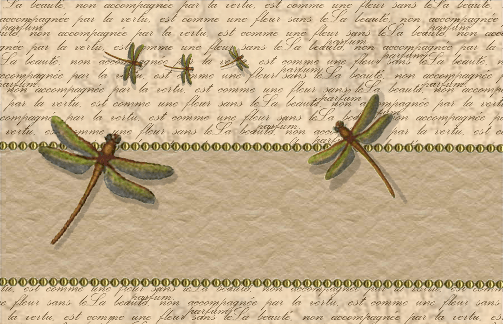Dragonfly Wallpapers - Wallpaper Cave